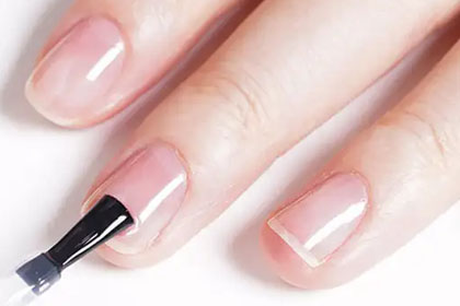 Home 16 Hema & TPO Free Base Coat