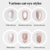 Wholesale 8-Color Moonlight Cat Eye Magnetic Gel Polish Wholesale 8-Color Moonlight Cat Eye Magnetic Gel Polish