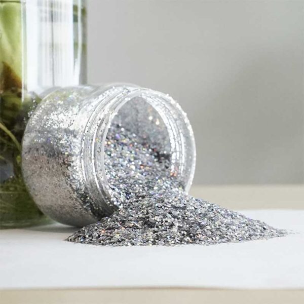 Wholesale High Brightness Laser Silver Glitter Powder