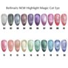 Wholesale Magic Cat Eye UV LED Gel Polish 20 Colors OEM