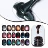 Wholesale Private Label 18-Color Cat Eye Gel Polish Kit